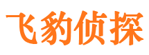 锡林郭勒侦探